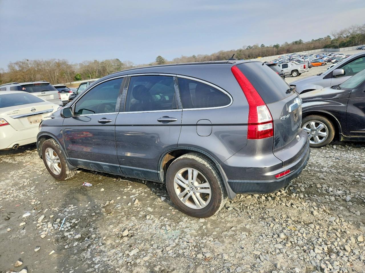 2010 HONDA CR-V EXL photo 4