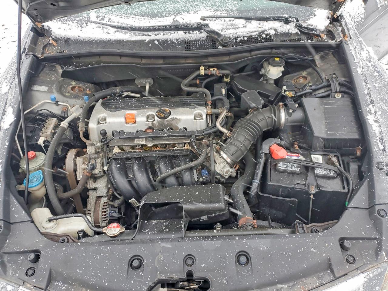 2011 HONDA ACCORD LXP photo 11