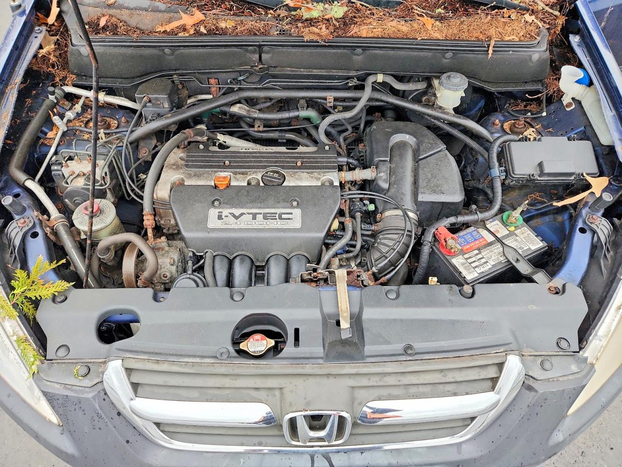 2004 HONDA CR-V EX photo 12