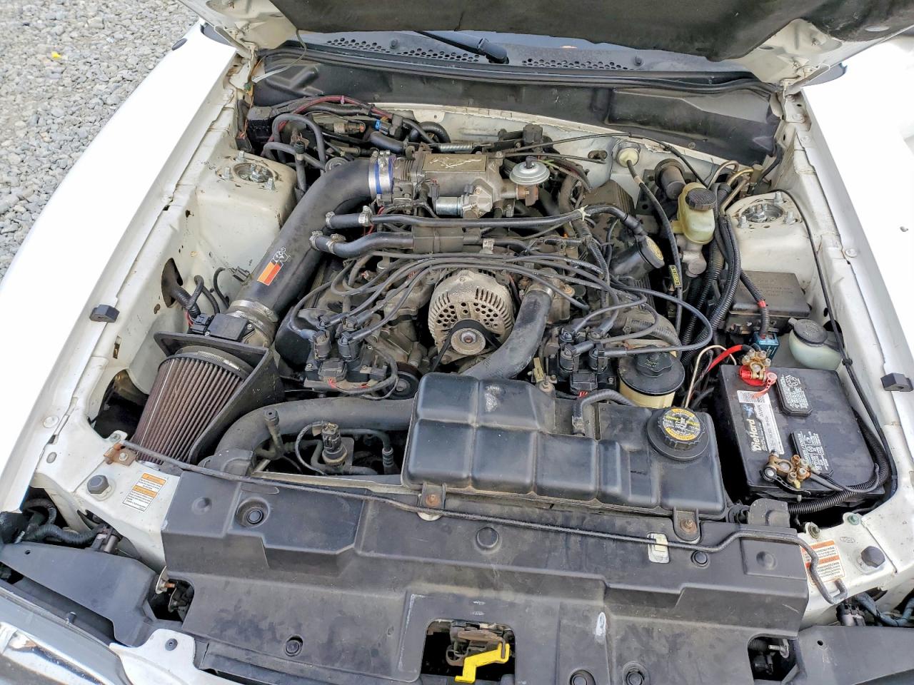 1998 FORD MUSTANG GT photo 11