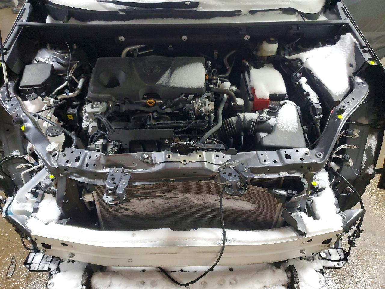 2024 TOYOTA RAV4 XLE photo 12
