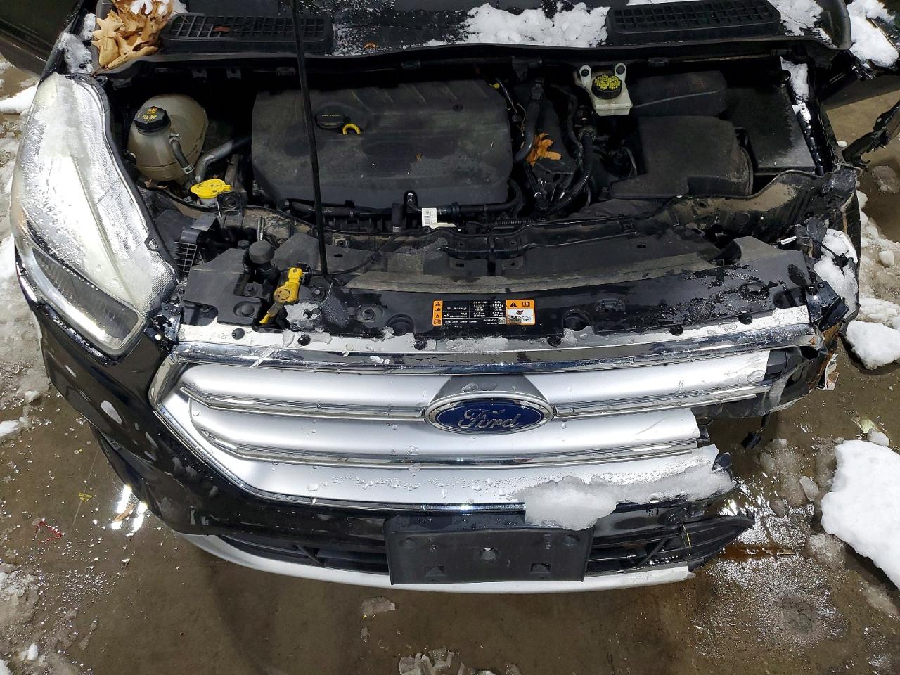 2017 FORD ESCAPE SE photo 12