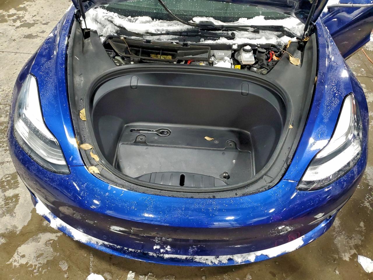2019 TESLA MODEL 3 photo 11