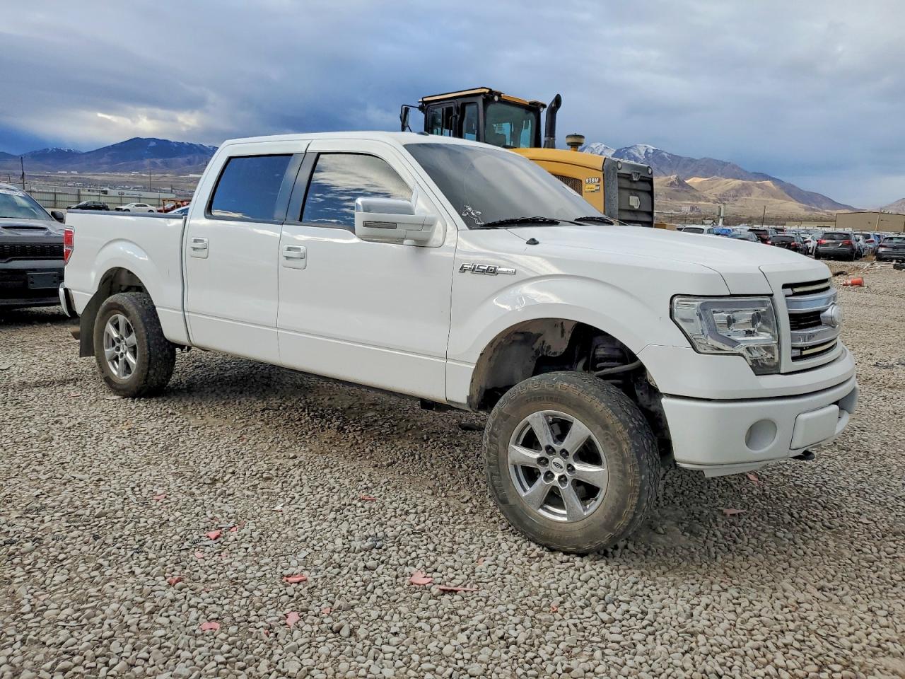 2014 FORD F150 SUPERCREW photo 4