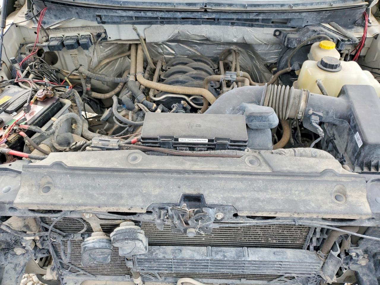 2014 FORD F150 SUPERCREW photo 11