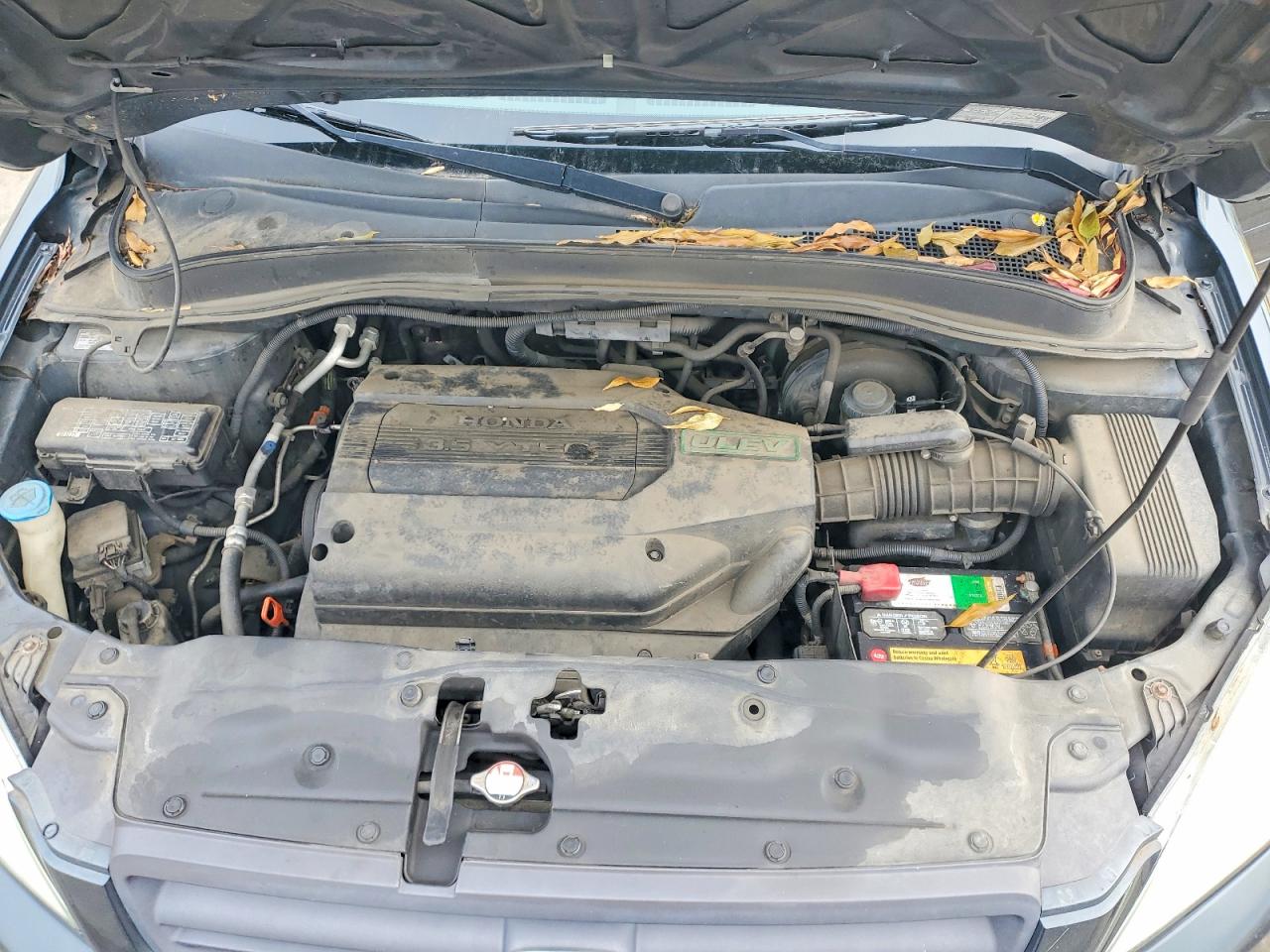 2003 HONDA PILOT EXL photo 11