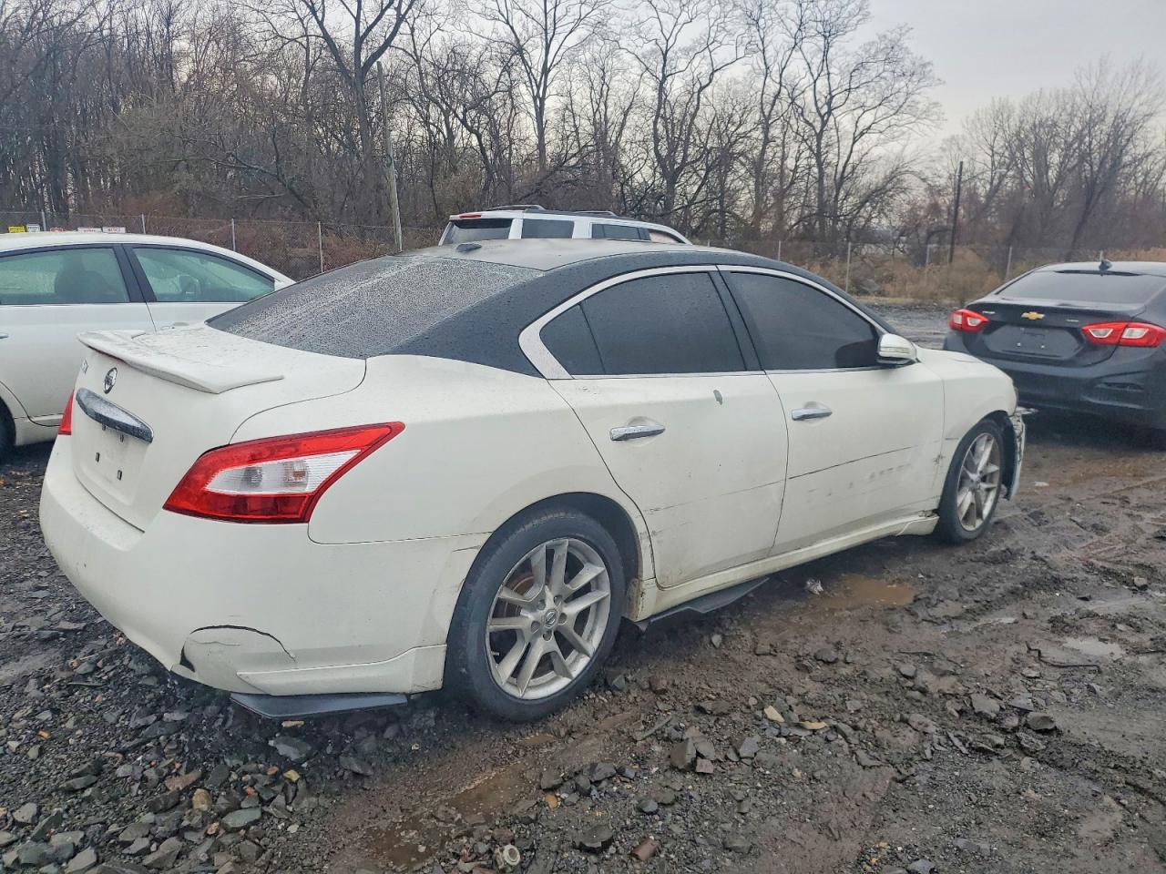 2010 NISSAN MAXIMA S photo 3