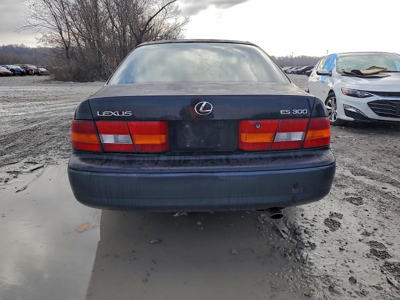 1997 LEXUS ES 300 photo 6