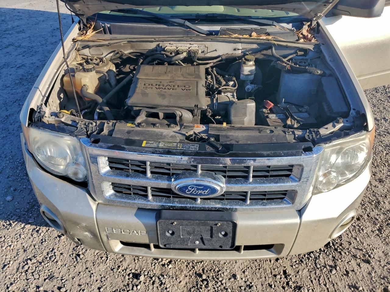2012 FORD ESCAPE XLT photo 12