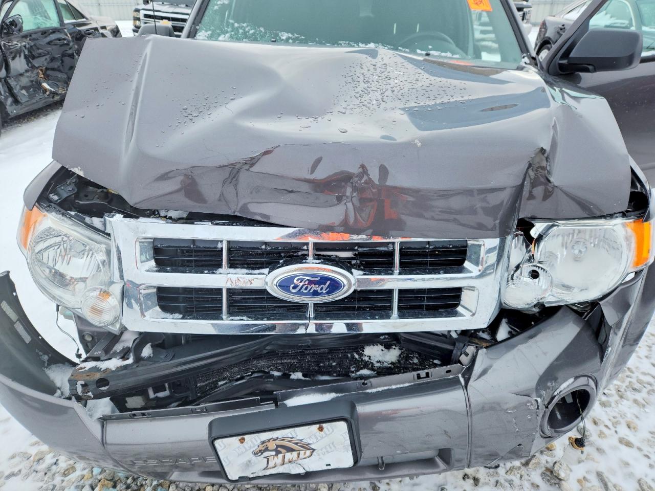2012 FORD ESCAPE XLT photo 11