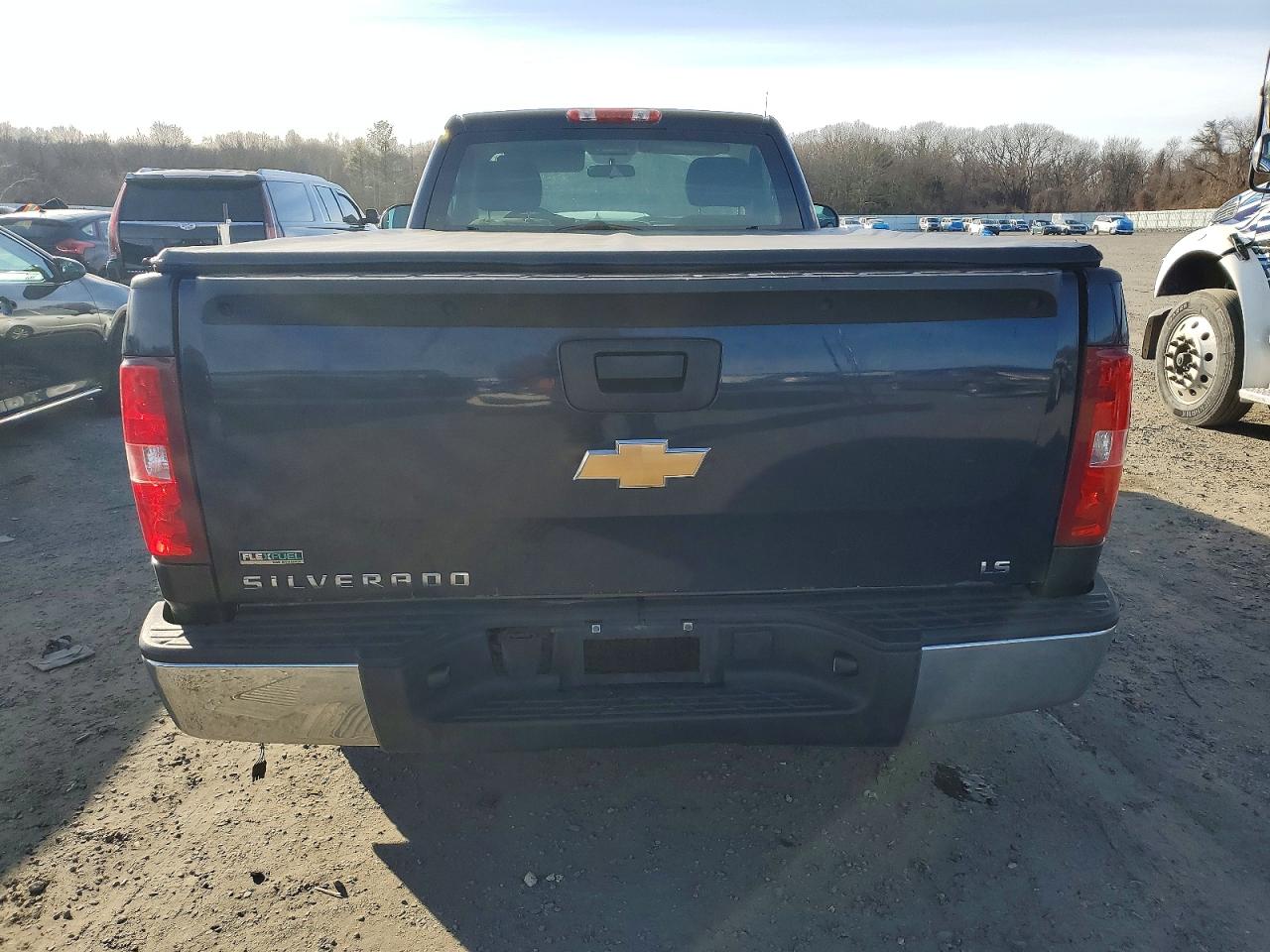 2010 CHEVROLET SILVERADO K1500 photo 6