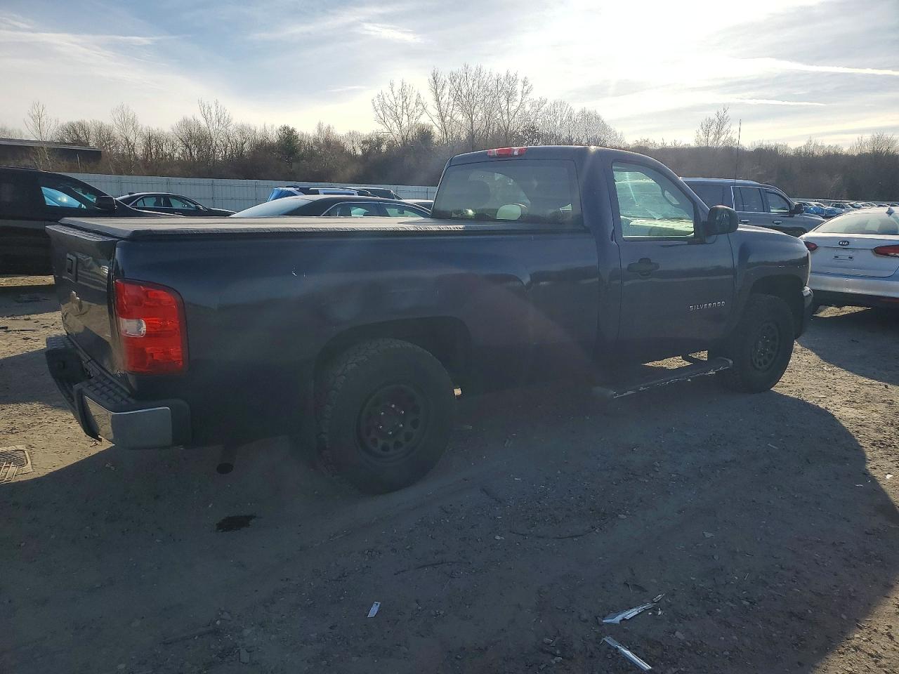 2010 CHEVROLET SILVERADO K1500 photo 3