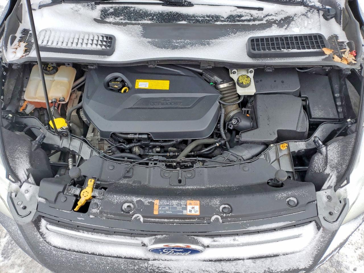 2016 FORD ESCAPE SE photo 12
