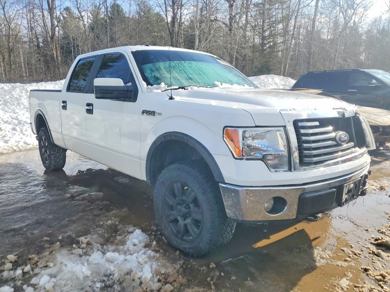 2009 FORD F150 SUPERCREW photo 4