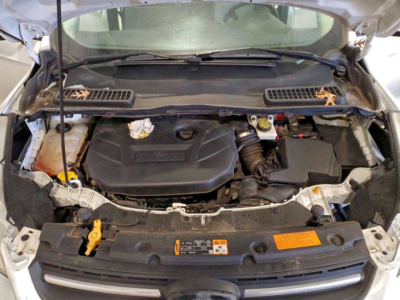 2014 FORD ESCAPE SE photo 11