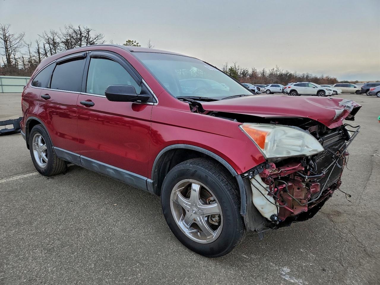 2007 HONDA CR-V LX photo 4