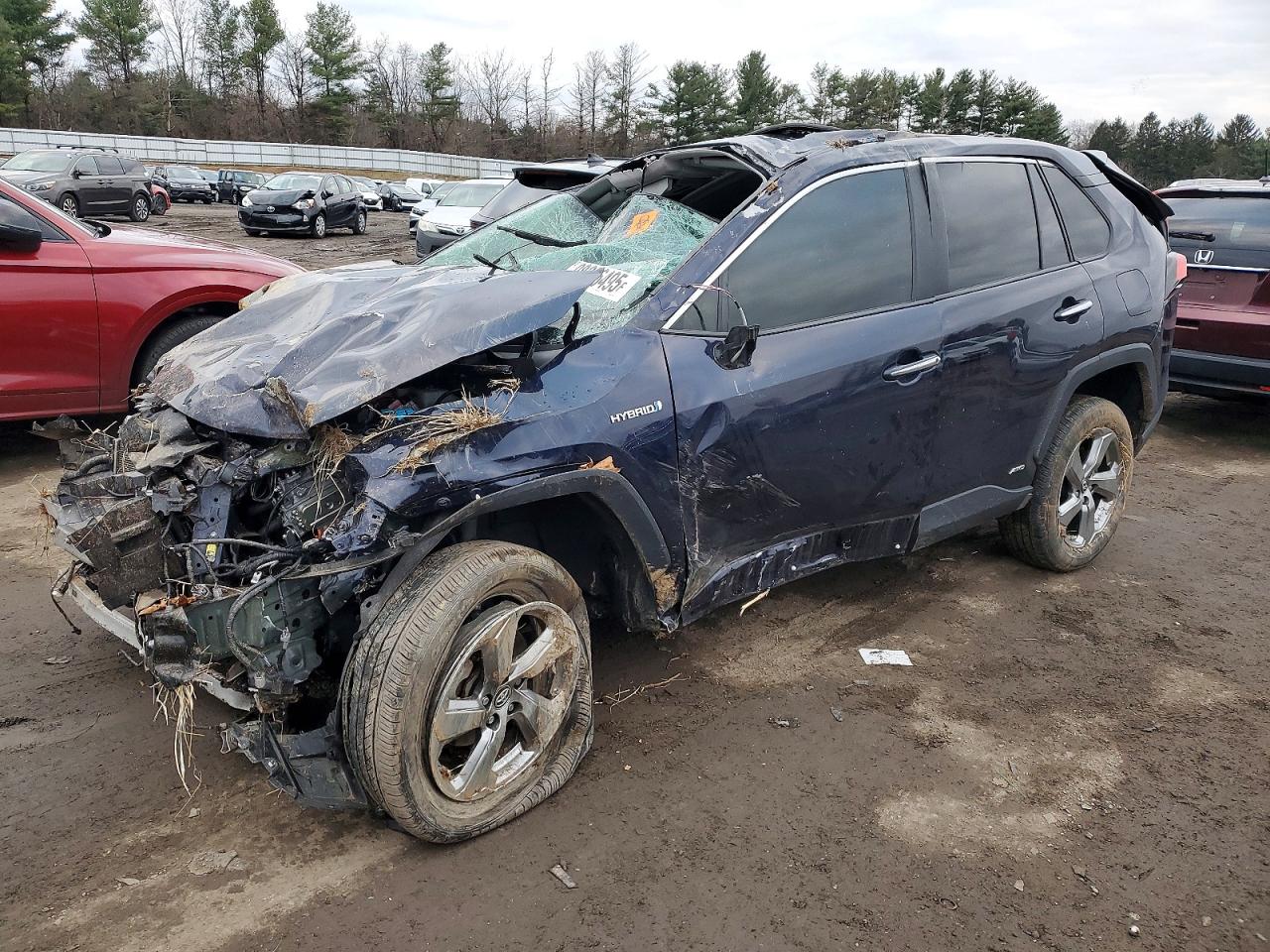 2019 TOYOTA RAV4
