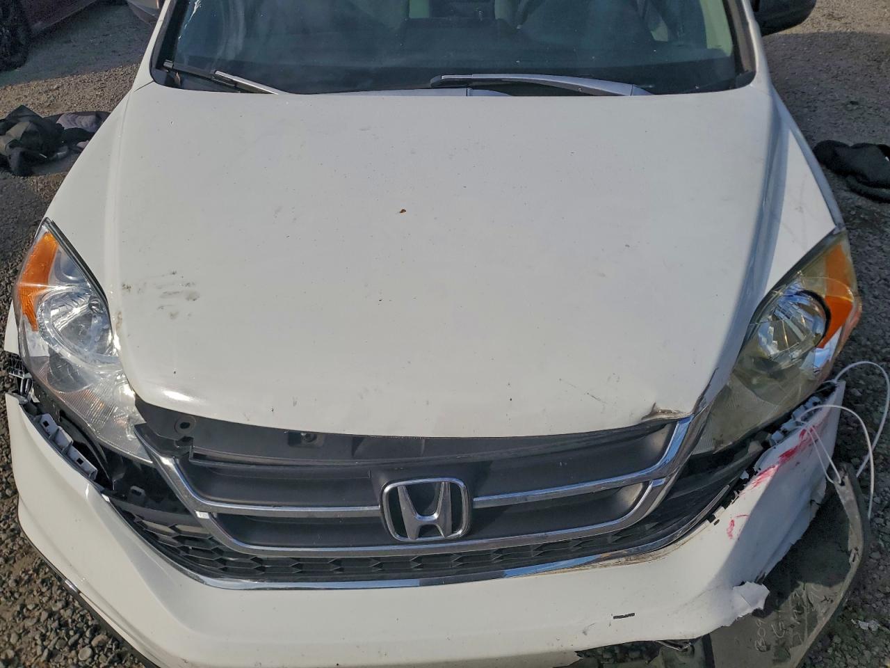 2010 HONDA CR-V LX photo 12