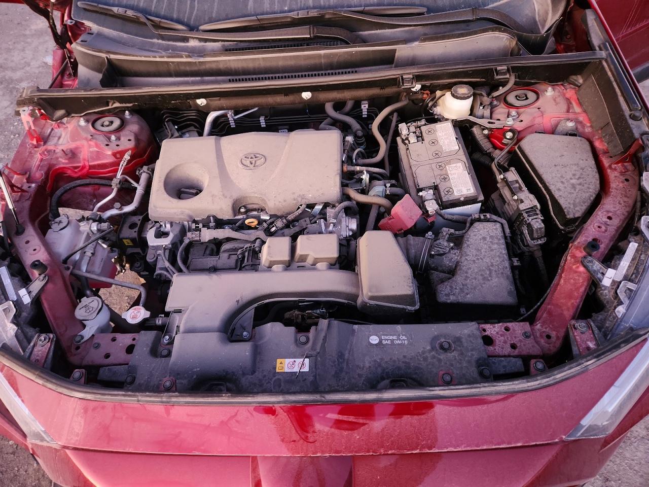 2024 TOYOTA RAV4 LE photo 11