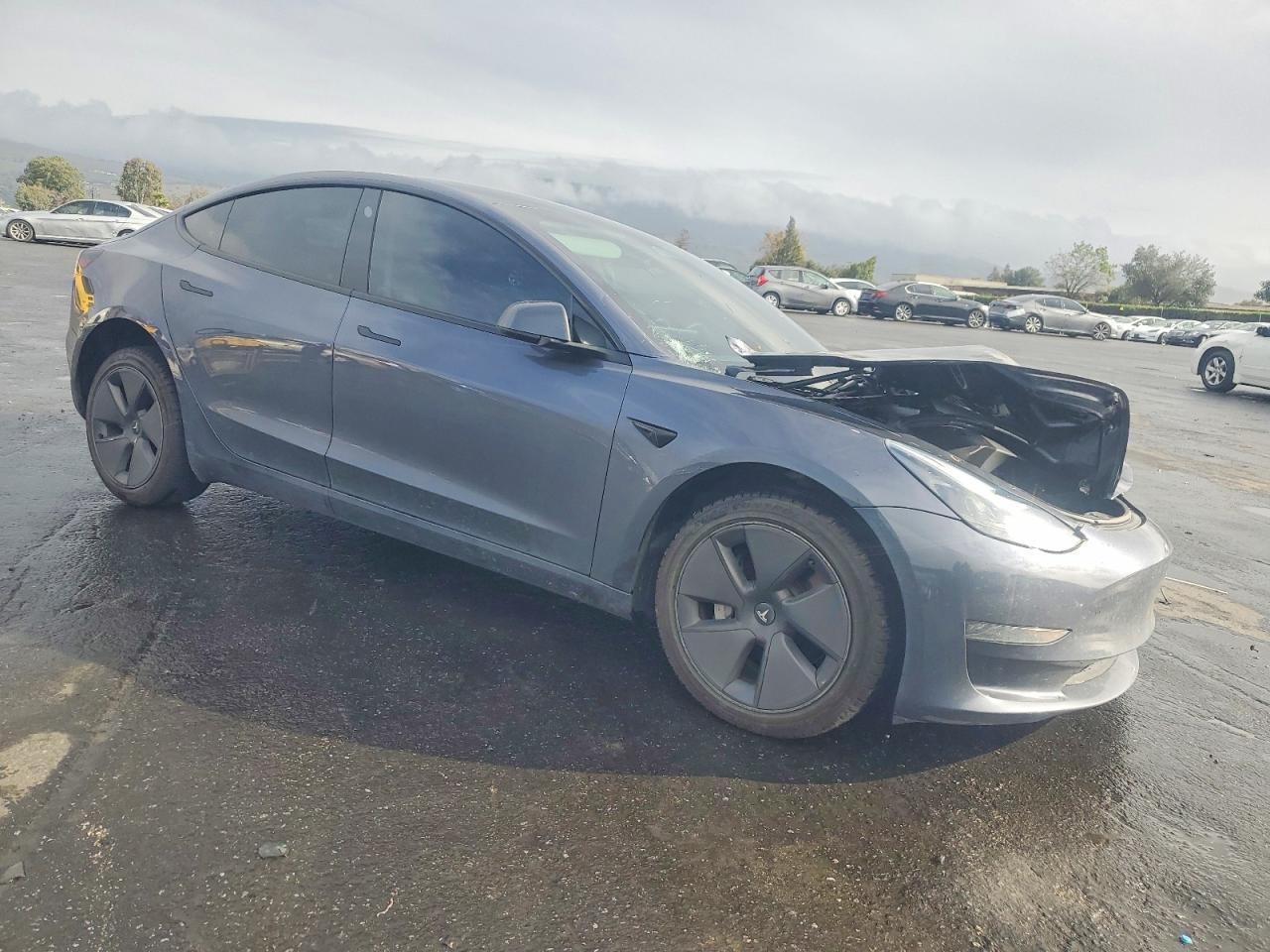 2023 TESLA MODEL 3 photo 4