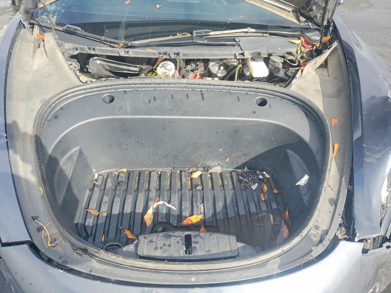 2023 TESLA MODEL 3 photo 11