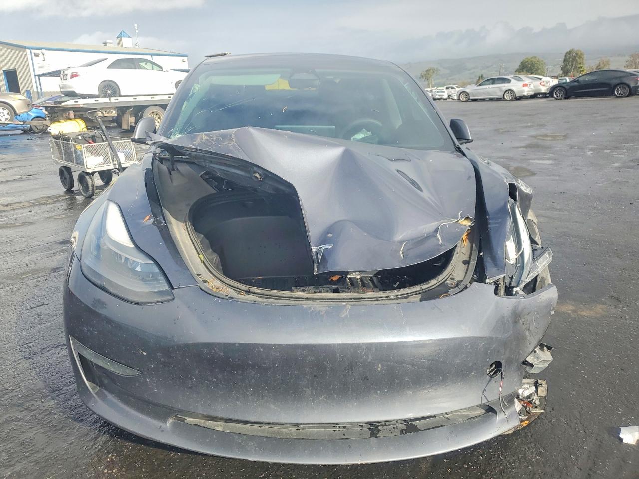 2023 TESLA MODEL 3 photo 5