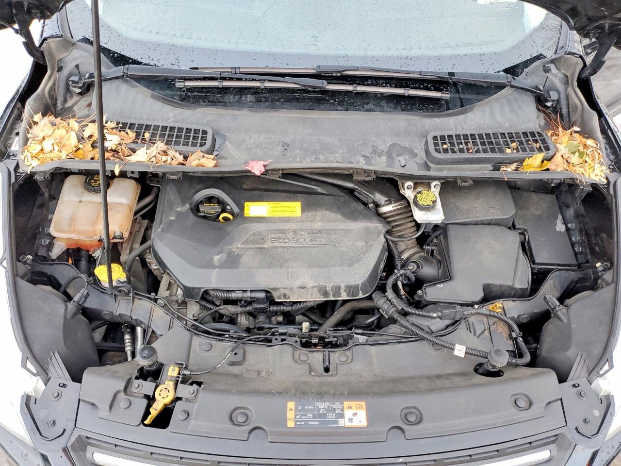 2015 FORD ESCAPE SE photo 12