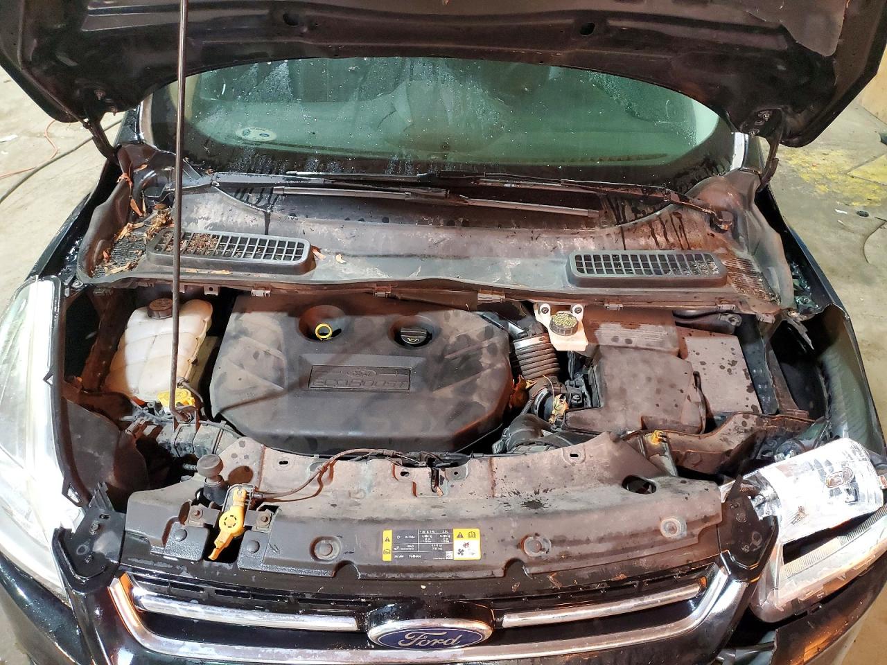 2013 FORD ESCAPE SEL photo 12