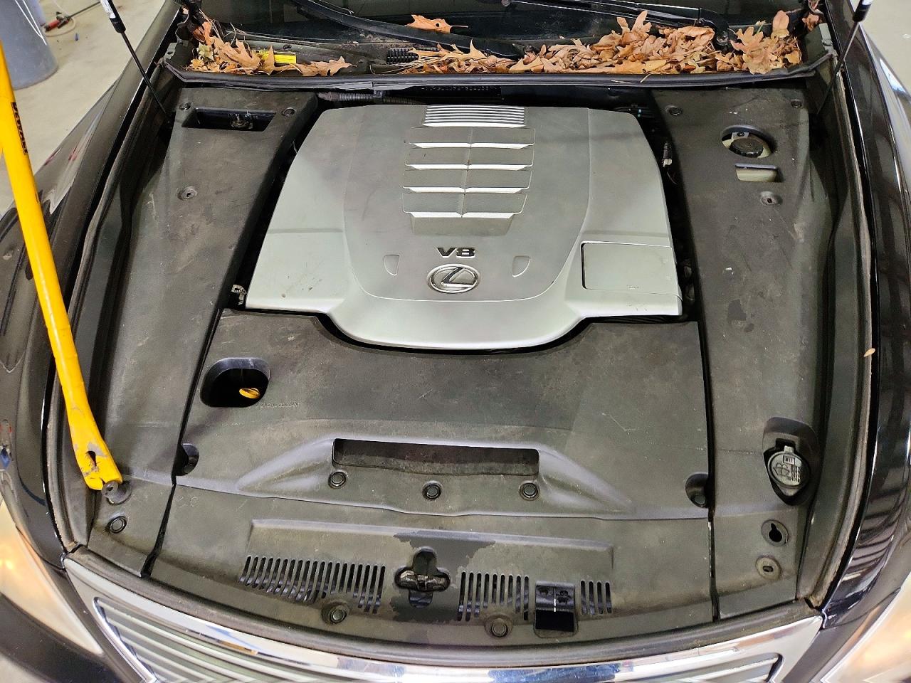 2007 LEXUS LS 460 photo 11