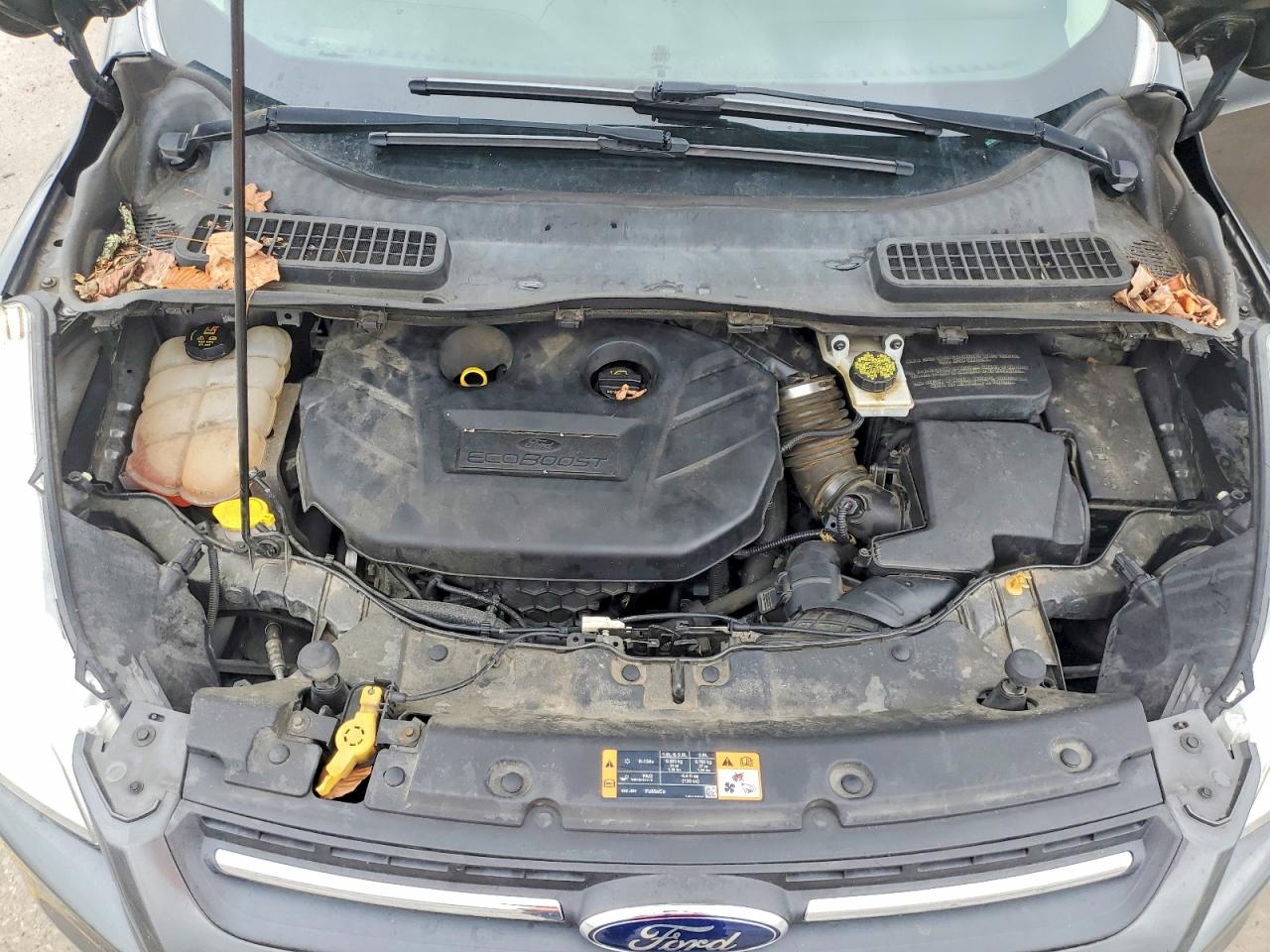 2015 FORD ESCAPE SE photo 12