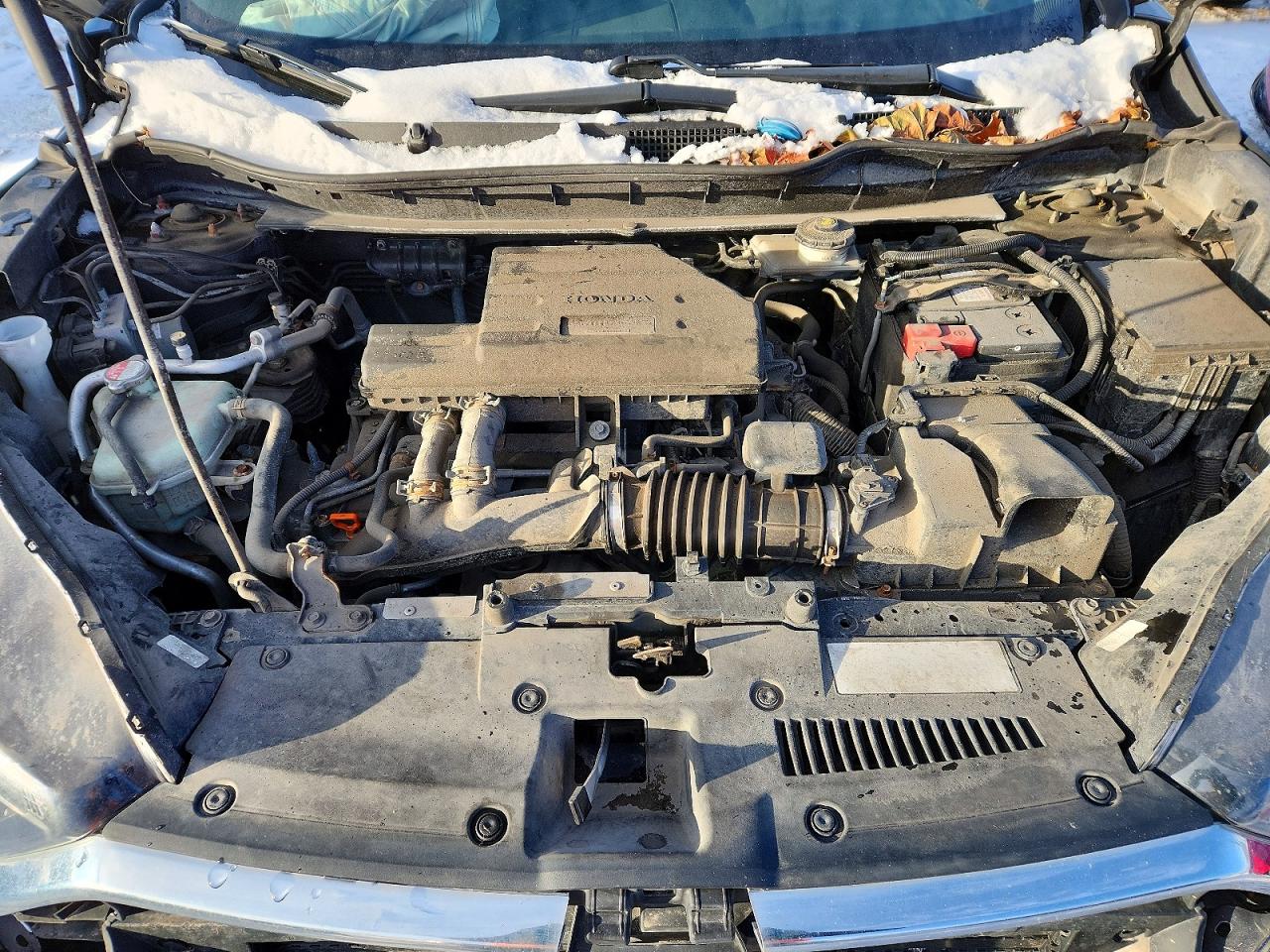 2017 HONDA CR-V EXL photo 12
