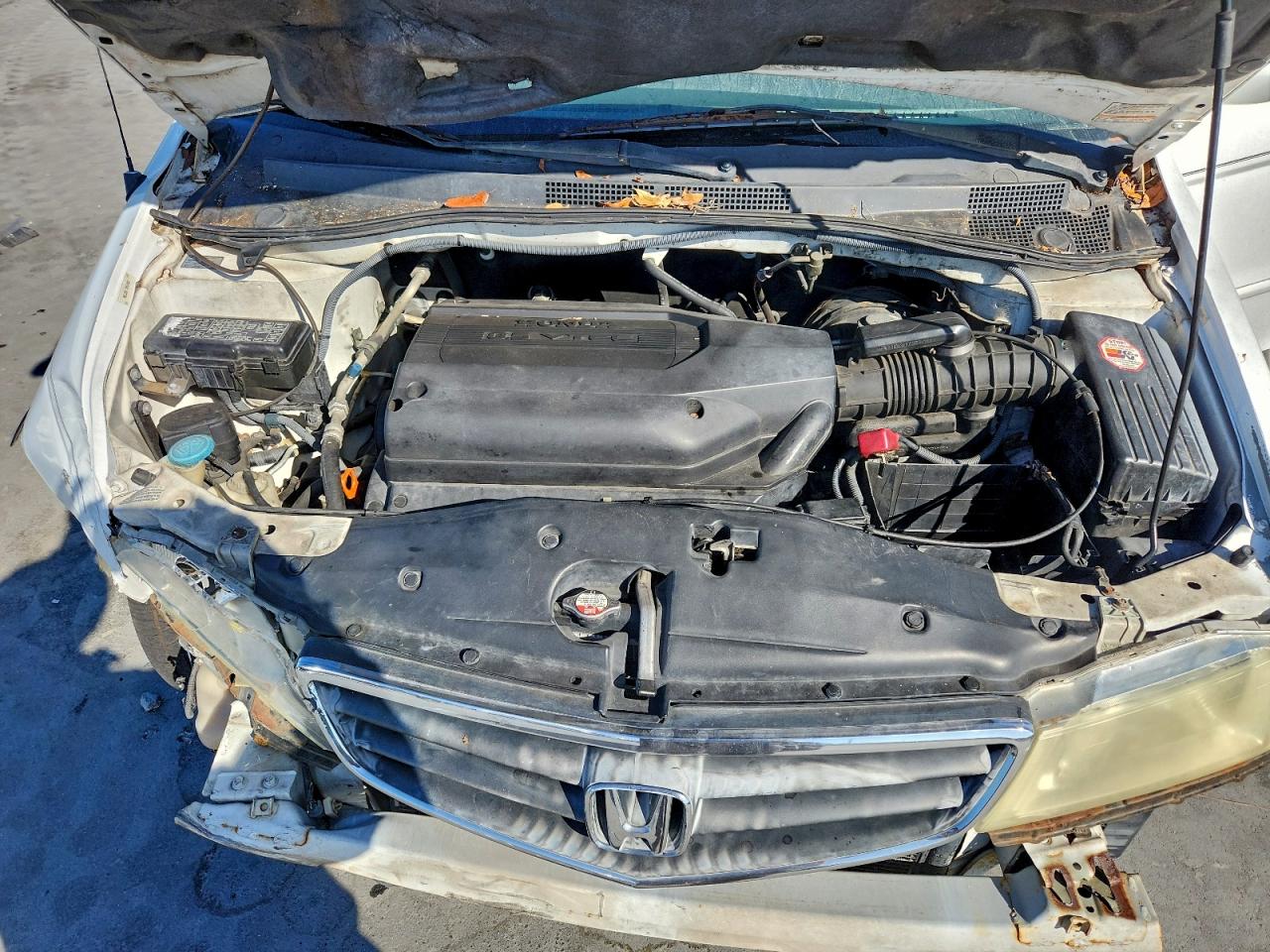 2003 HONDA ODYSSEY EXL photo 12