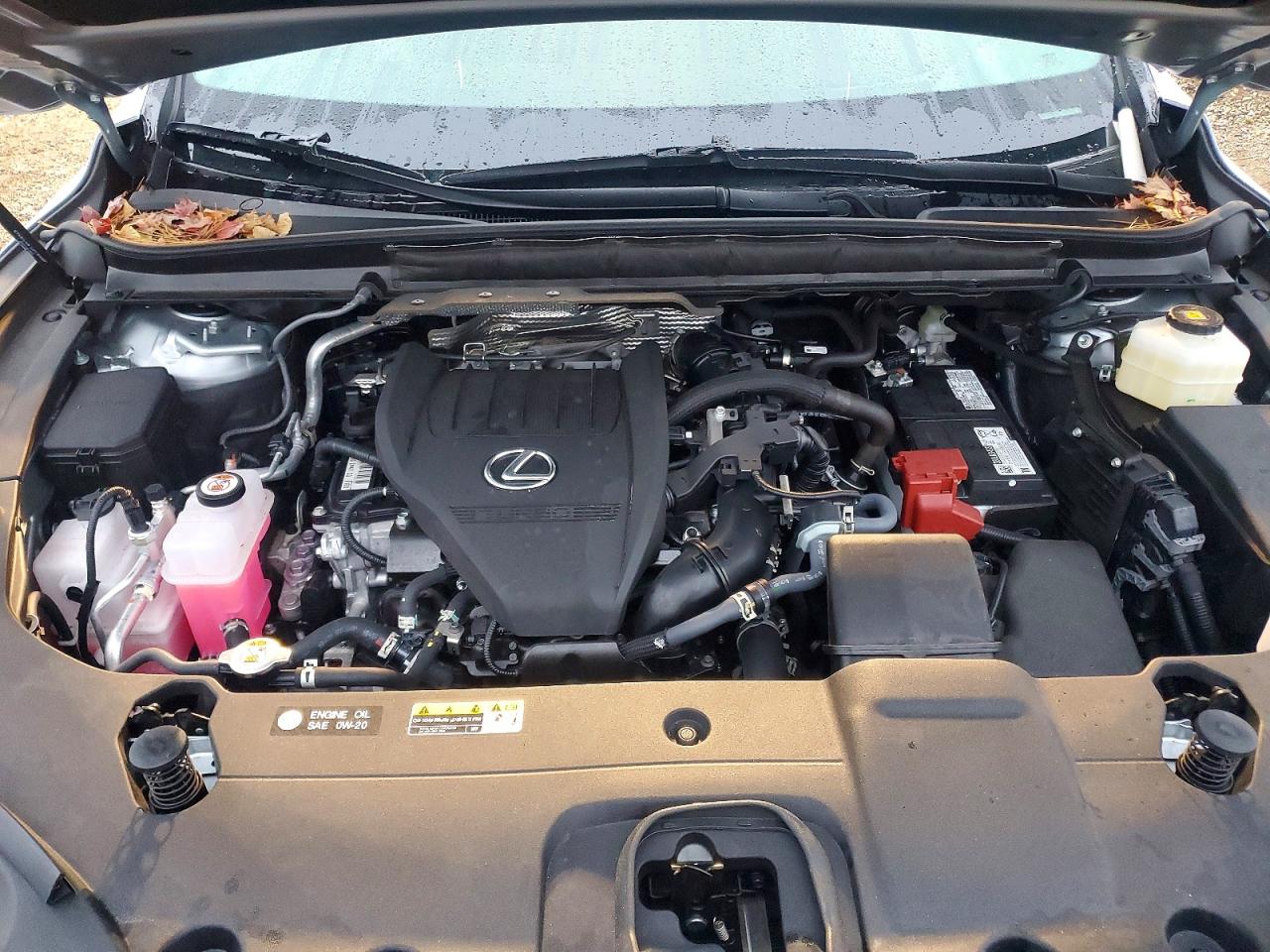 2025 LEXUS RX 350 BASE photo 11