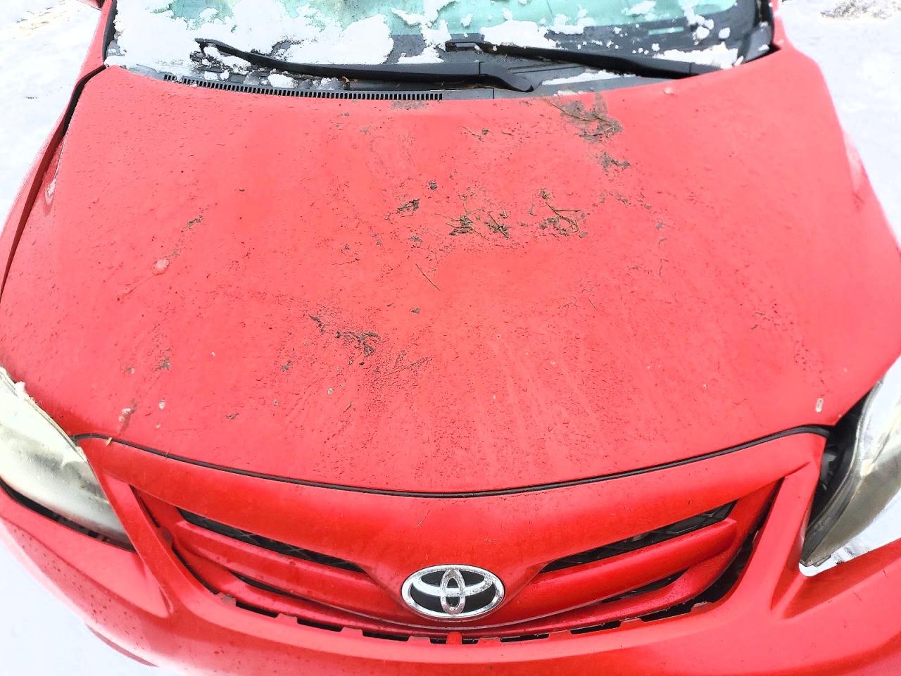 2011 TOYOTA COROLLA BASE photo 11