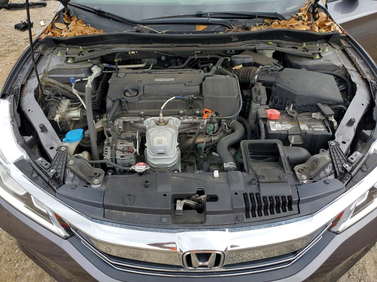 2017 HONDA ACCORD SPORT photo 11