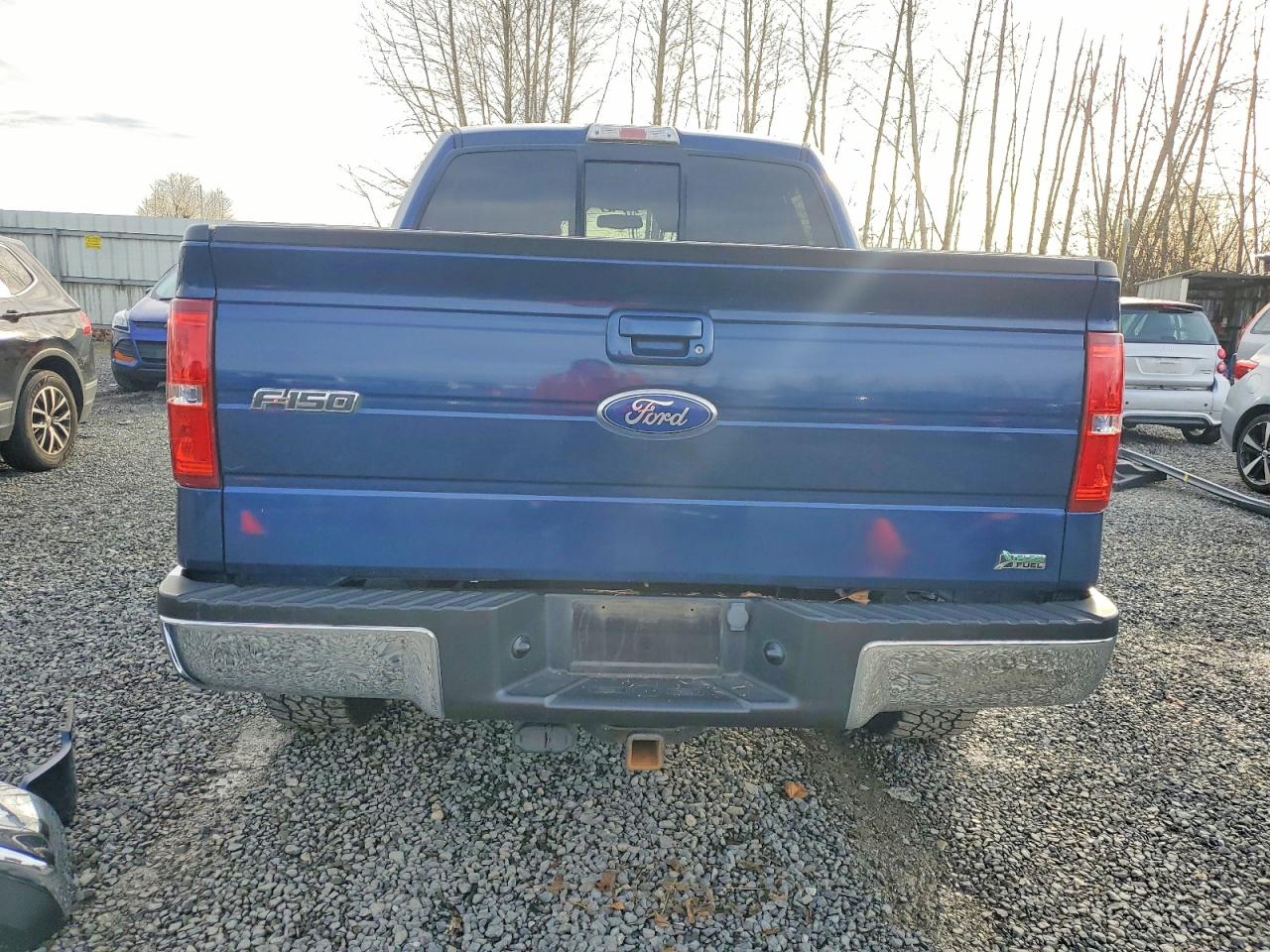 2010 FORD F150 SUPERCREW photo 6