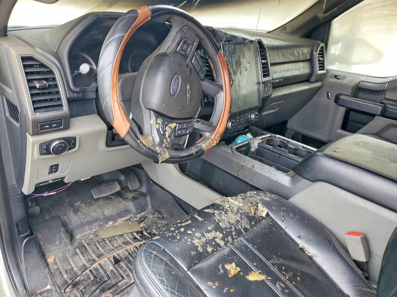 2019 FORD SUPER DUTY F-250 W/S photo 8