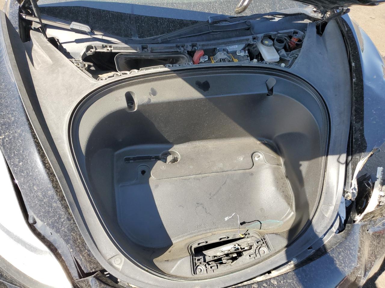 2019 TESLA MODEL 3 photo 11