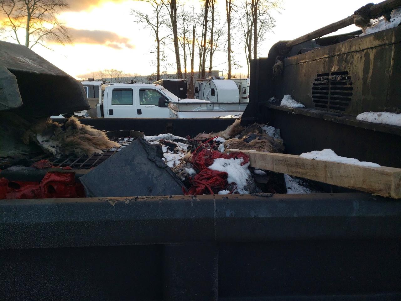 2024 FORD F550 SUPER DUTY DUMP TRUCK photo 11
