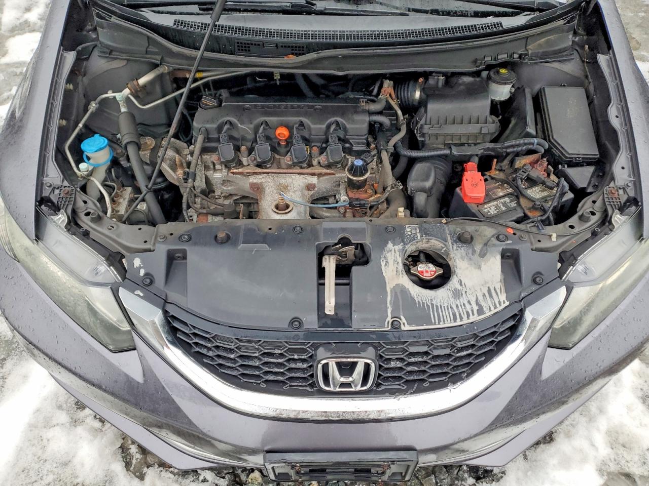 2014 HONDA CIVIC LX photo 11