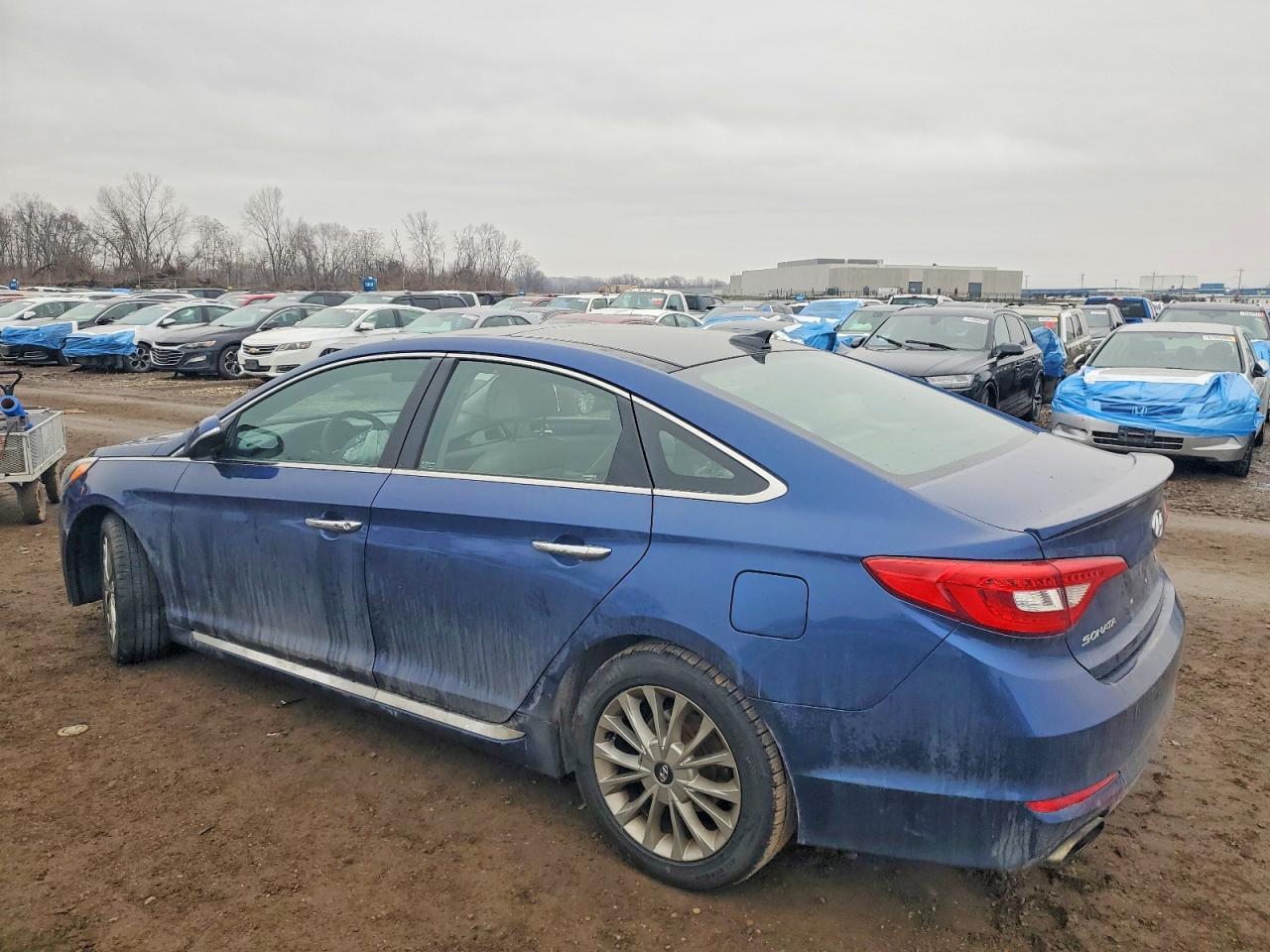 2015 HYUNDAI SONATA LIMITED photo 3