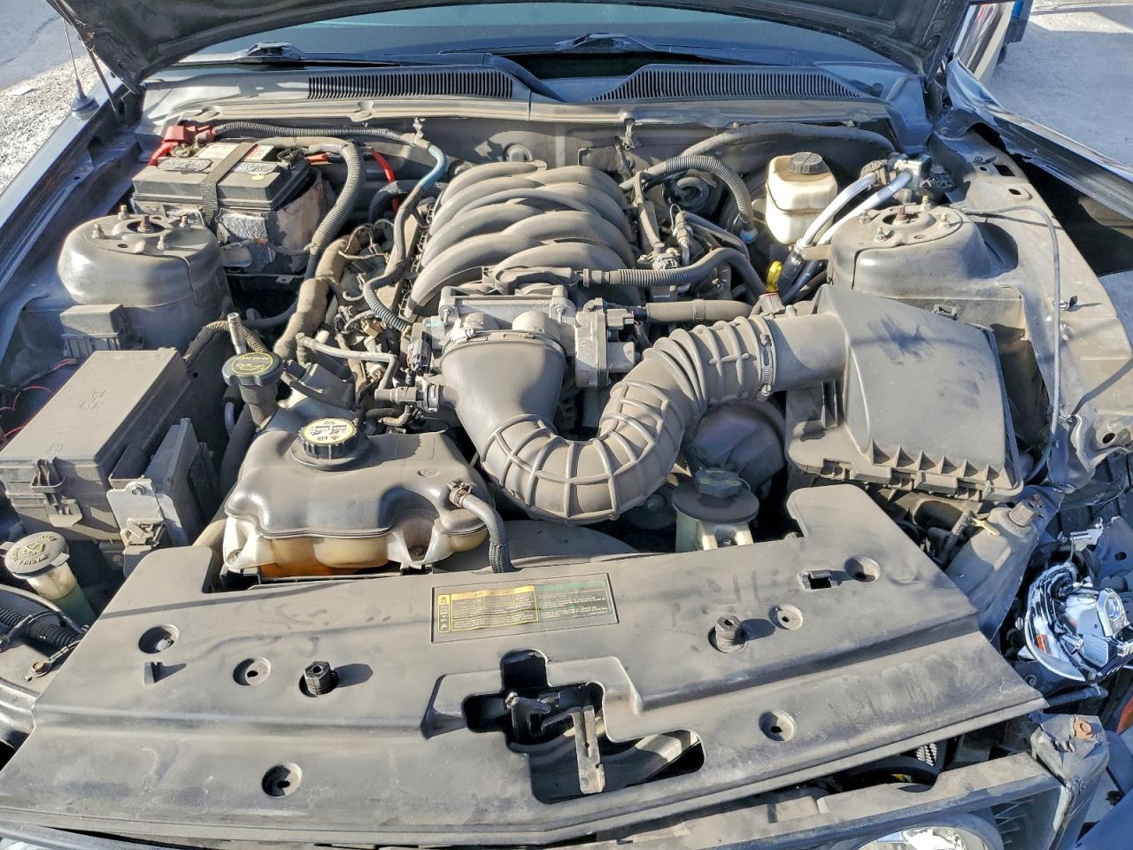 2008 FORD MUSTANG GT photo 11