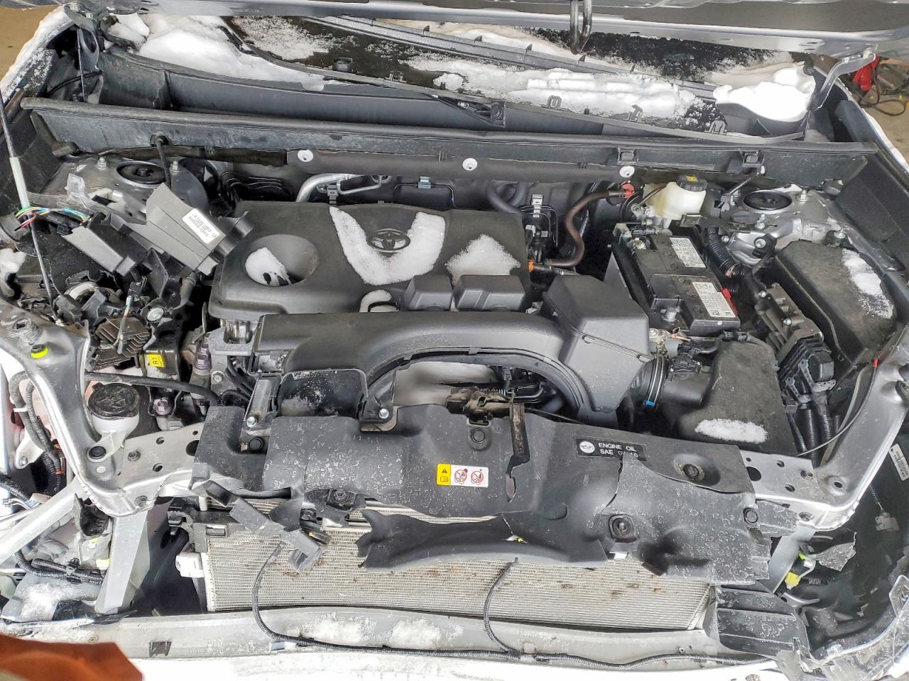 2024 TOYOTA RAV4 XLE photo 11