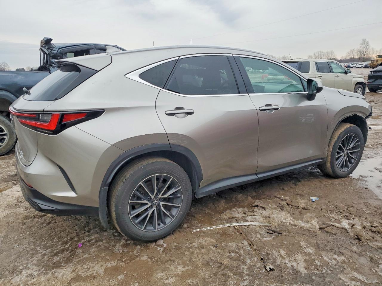 2024 LEXUS NX 350 PREMIUM photo 3