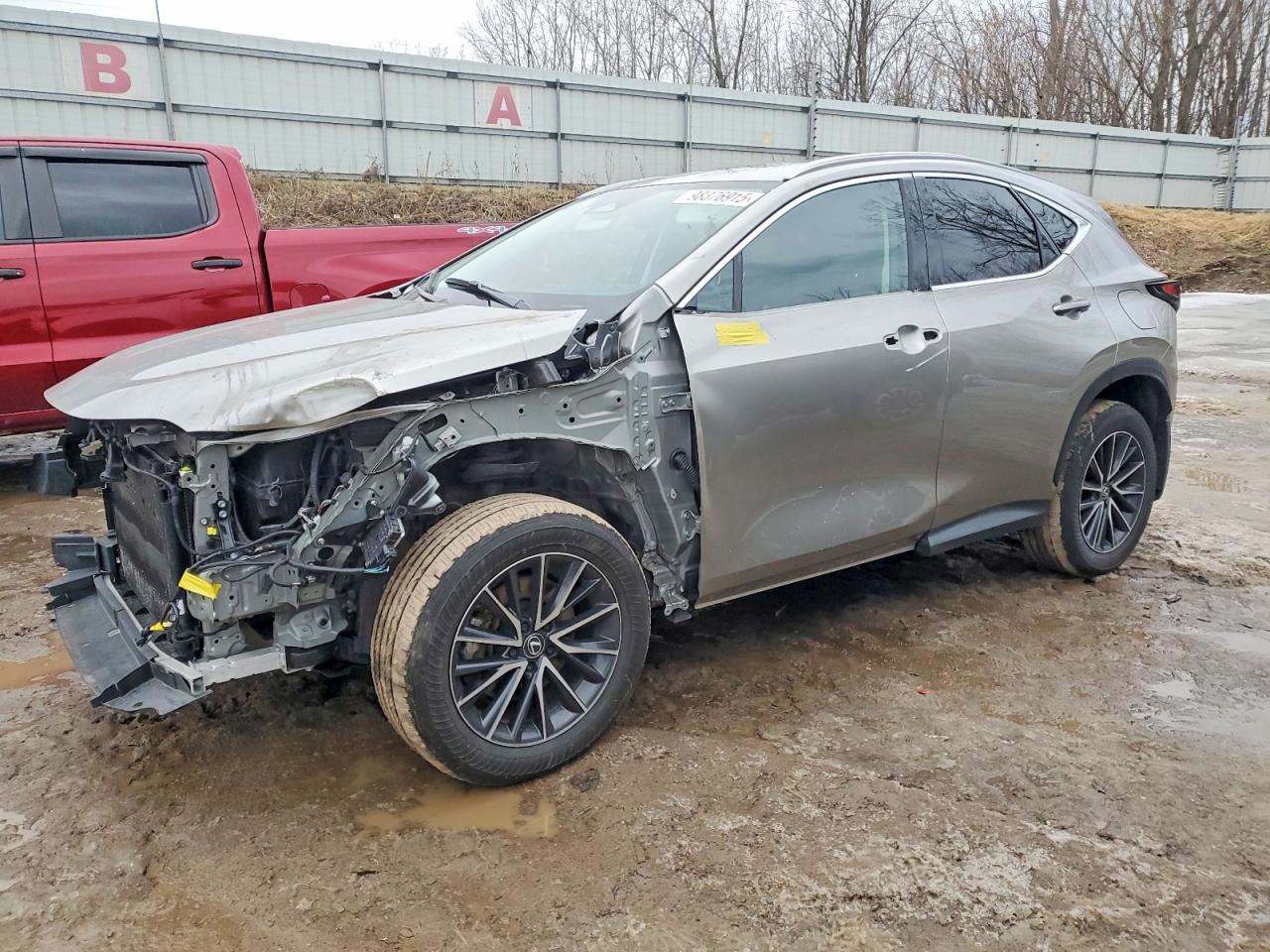 2024 LEXUS NX