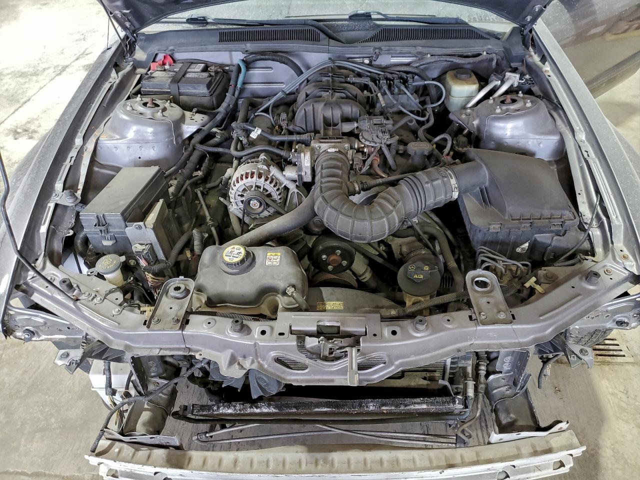 2006 FORD MUSTANG photo 11