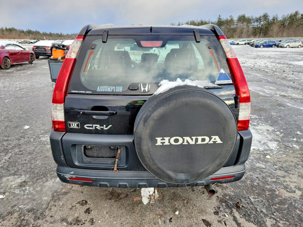 2005 HONDA CR-V LX photo 6