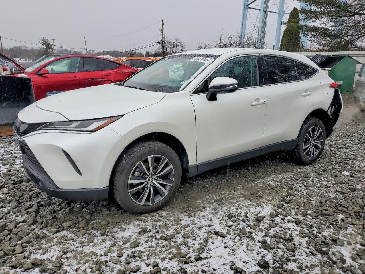 2024 TOYOTA VENZA