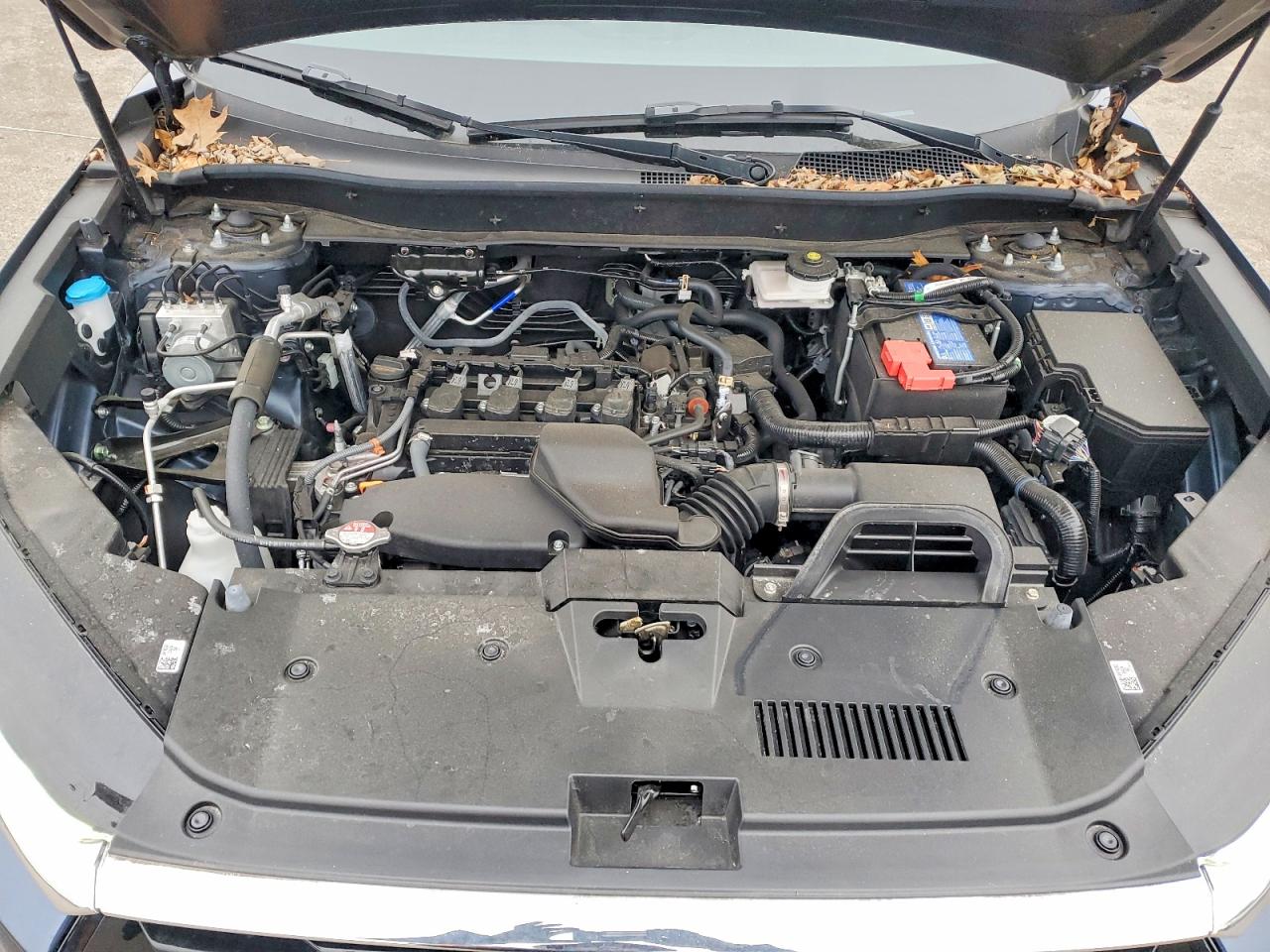 2025 HONDA CR-V EX photo 12