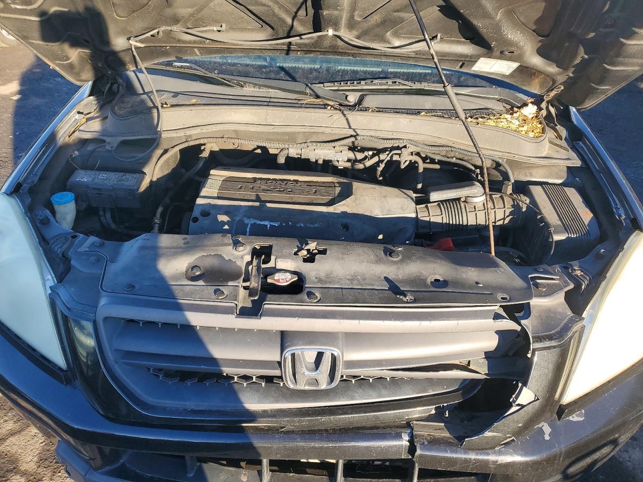 2003 HONDA PILOT EXL photo 12